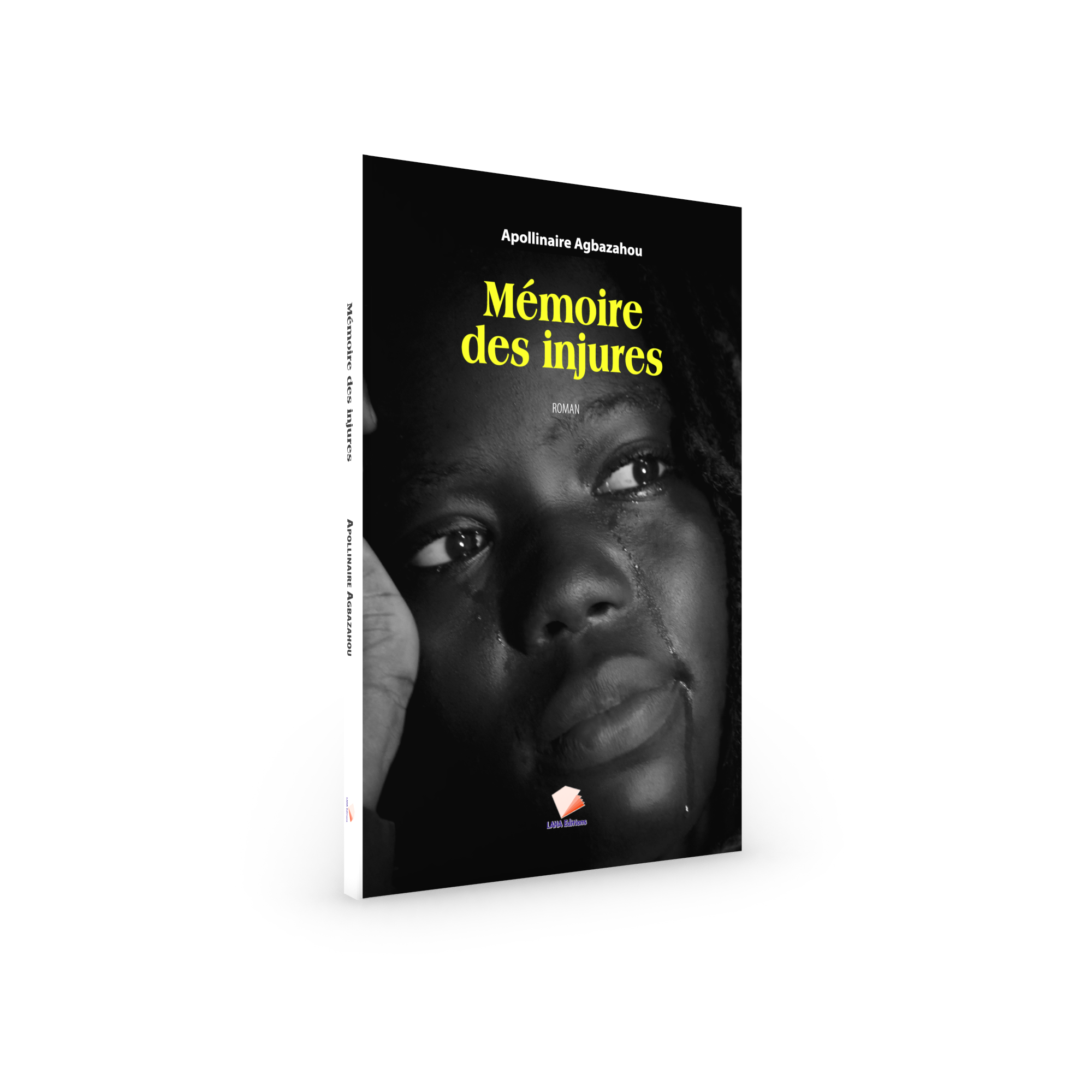 Couverture de Mémoire des injures