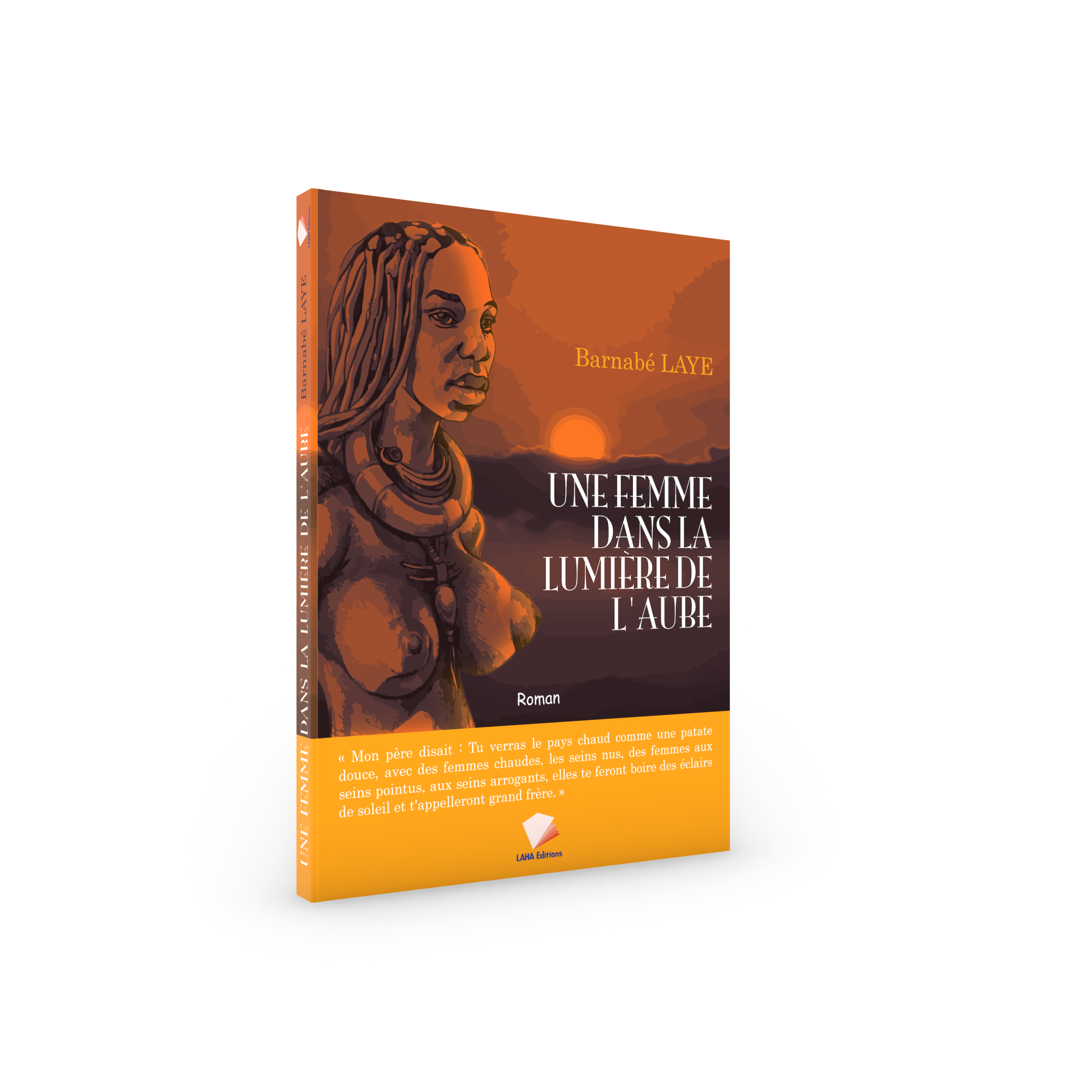 Couverture de Une femme dans la lumière de l’aube